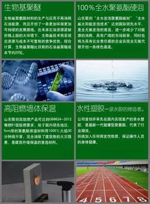 山東聯(lián)創(chuàng)新材料集團(tuán) 以技術(shù)服務(wù)驅(qū)動(dòng)材料創(chuàng)新與應(yīng)用